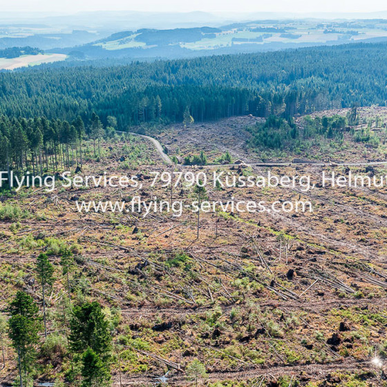 Luftbild Dokumentation Tornado Schaden 2015 Bonndorfer Wald FS P1050724